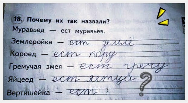 Смешные ответы детей на вопросы. Смешные ответы на вопросы школьников. Смешные ответы школьников на задания. Анекдот про логику заяц волк и медведь.