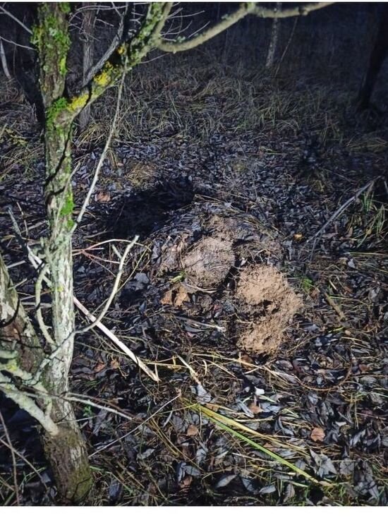     Фото 67.мвд.рф