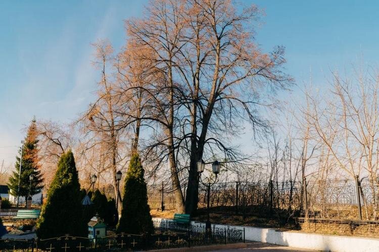 Фото: Visit Tyumen