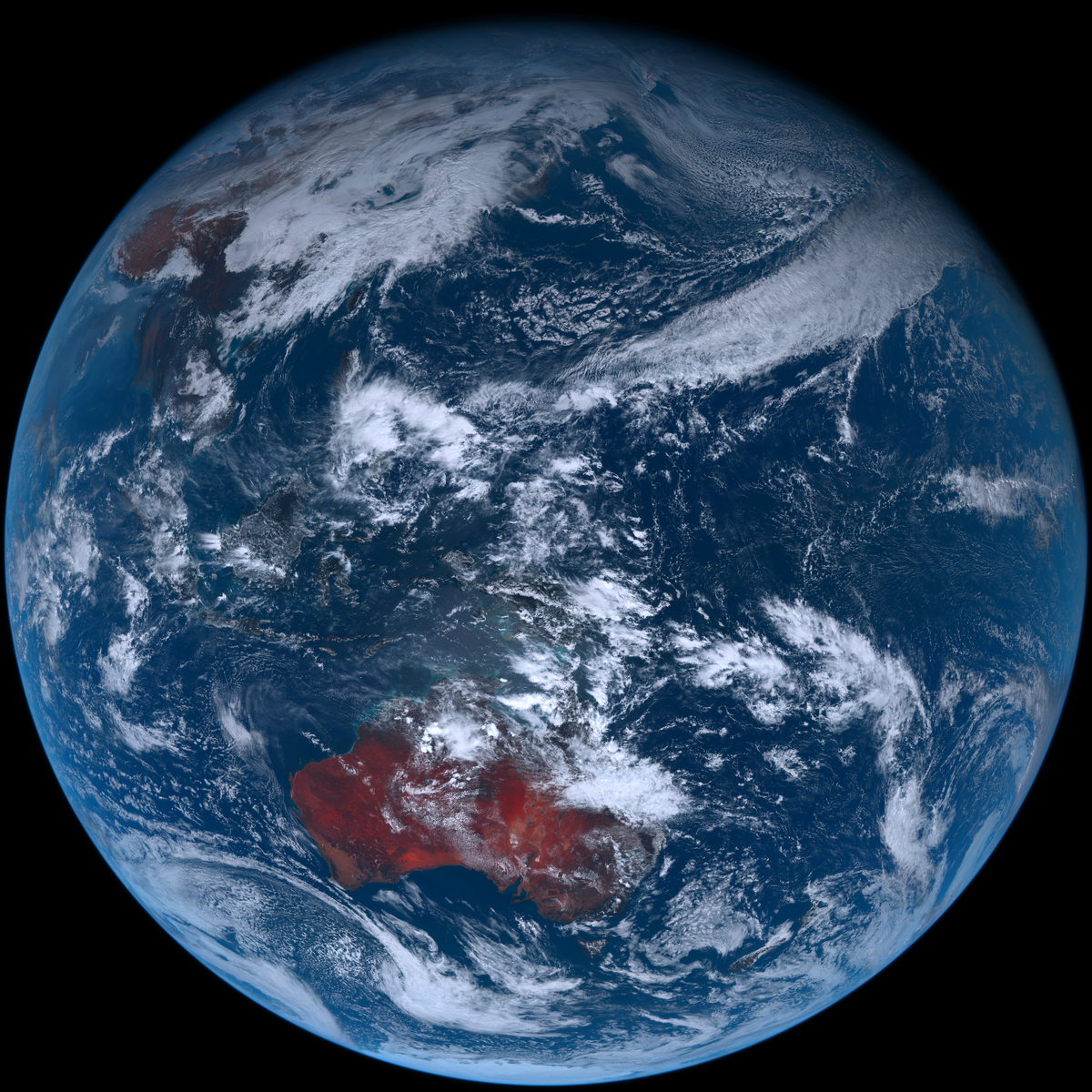 Лучшая работа японца за 13 января 2023 года