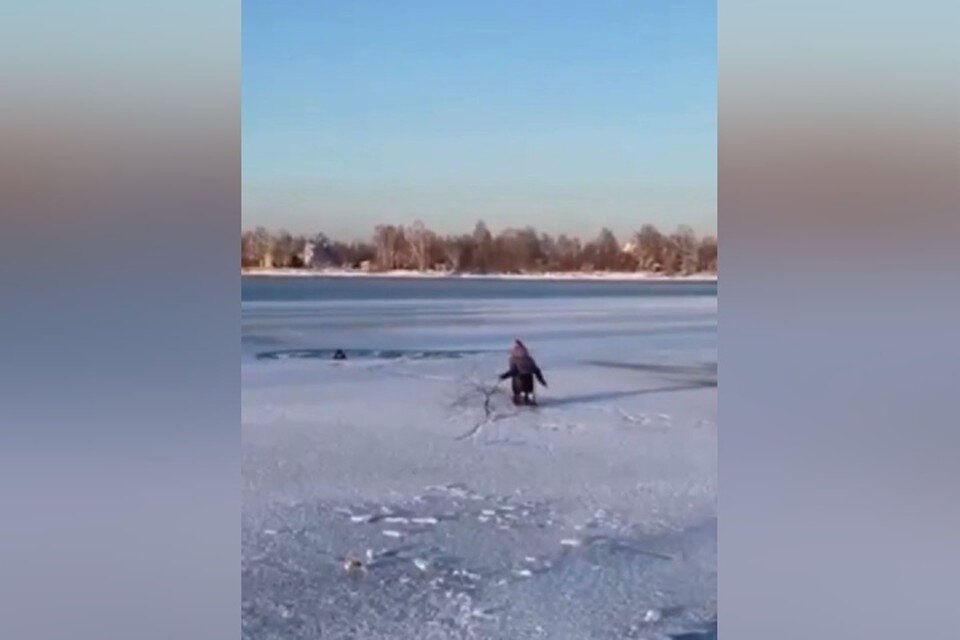     Александр спас ребят с помощью ветки от дерева. Фото: Свет 38.