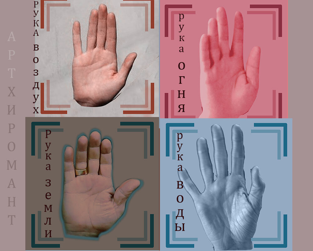 на иллюстрации хорошо видно различие в строении пальцев разных типов рук