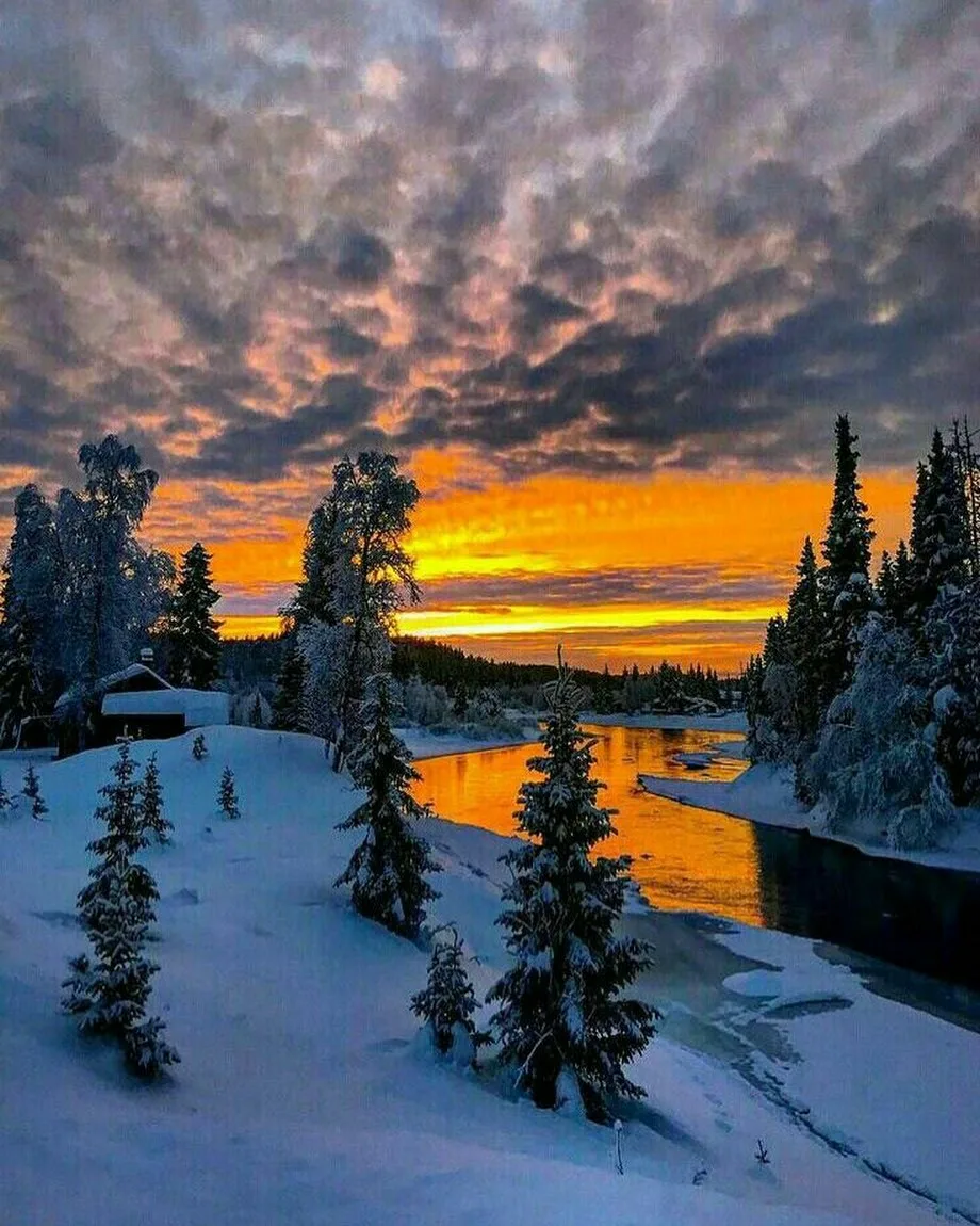 Яндекс.Картинки