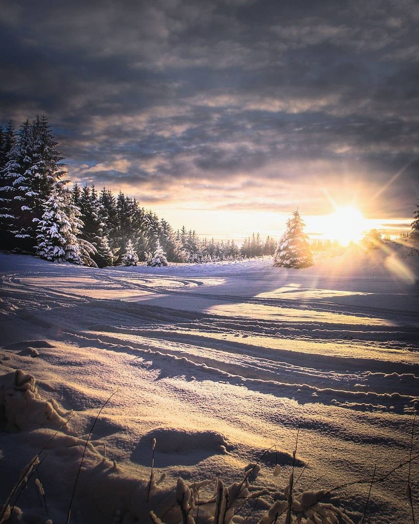 Яндекс.Картинки