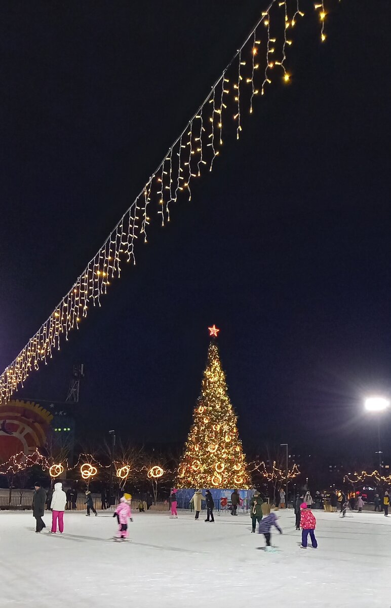 Каток у ёлки
