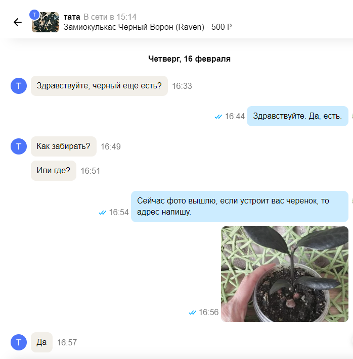 Скриншот автора