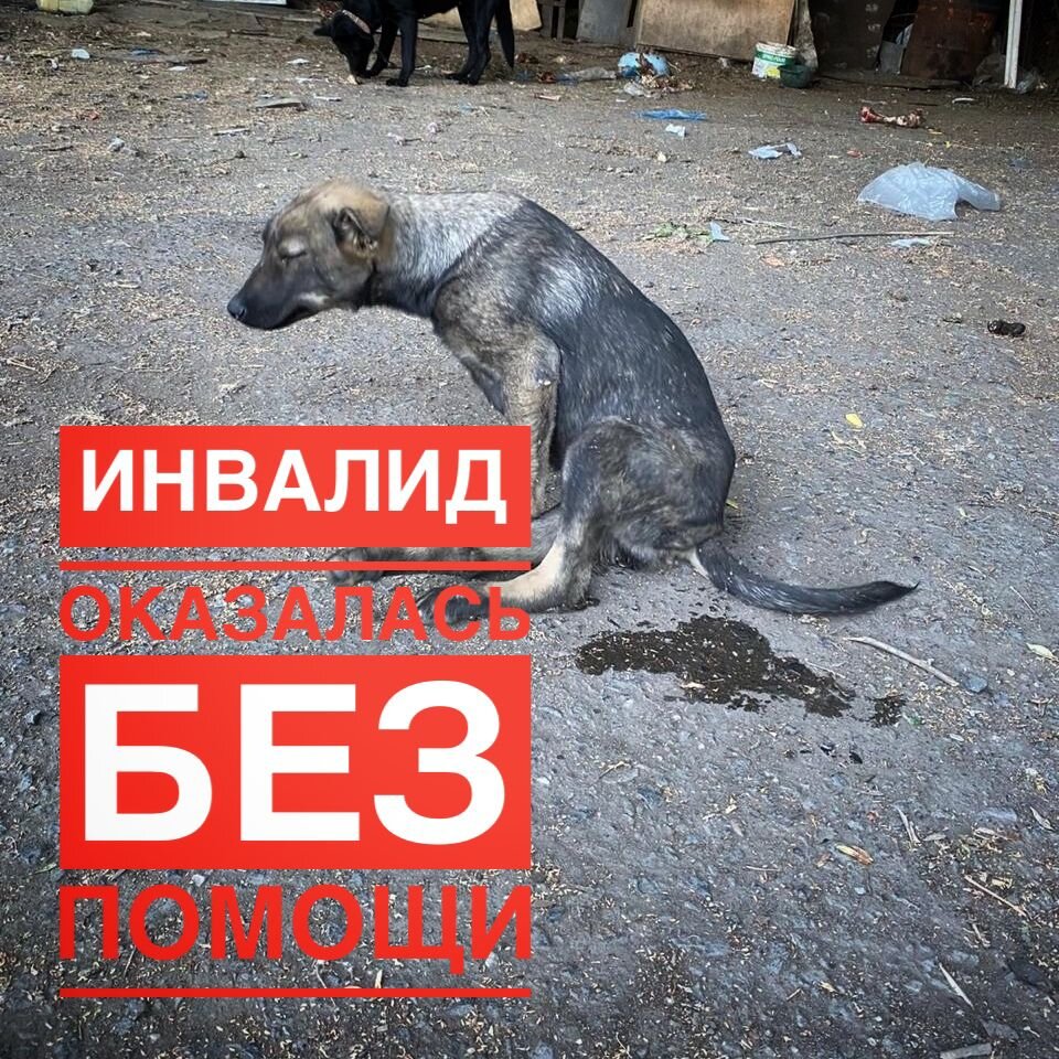 Инвалид Руна молит о помощи