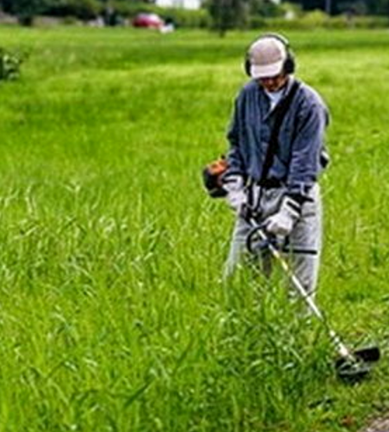 Многие летом зарабатывают на покосе травы. Я тоже решил попробовать.(фото из интернета).