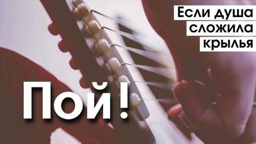 если душа сложила. если душа сложила. если душа сложила крылья слова. если душа сложила крылья ноты. если душа сложила крылья.