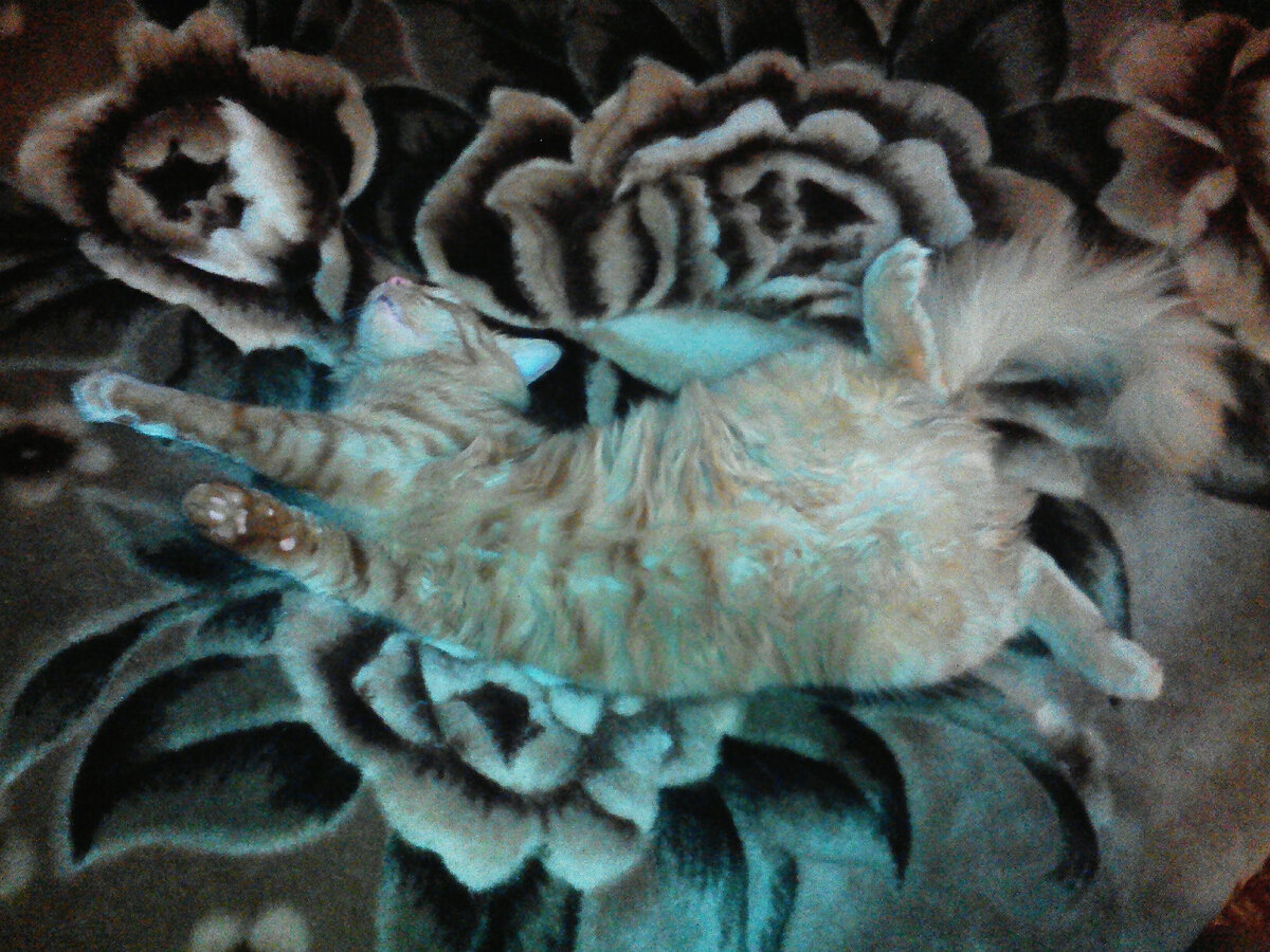 Вася нам доверяет и счастлив.