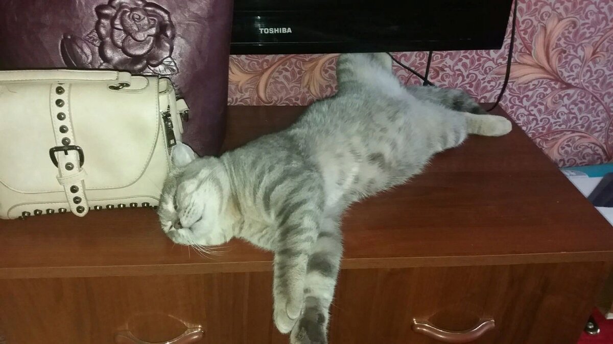 Матвей спит