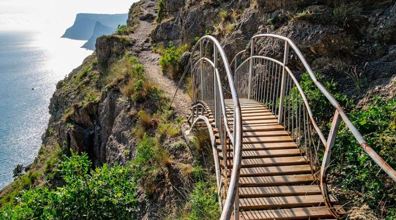 Фото из Яндекс.Картинок 