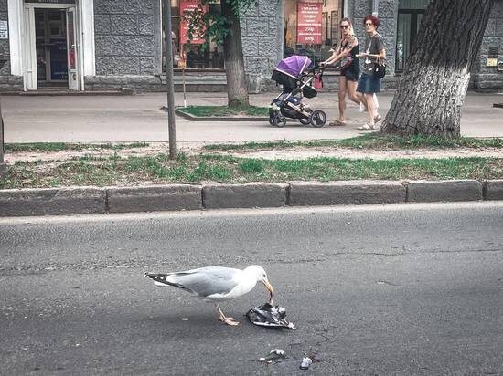     Фото: Александр Елисеев