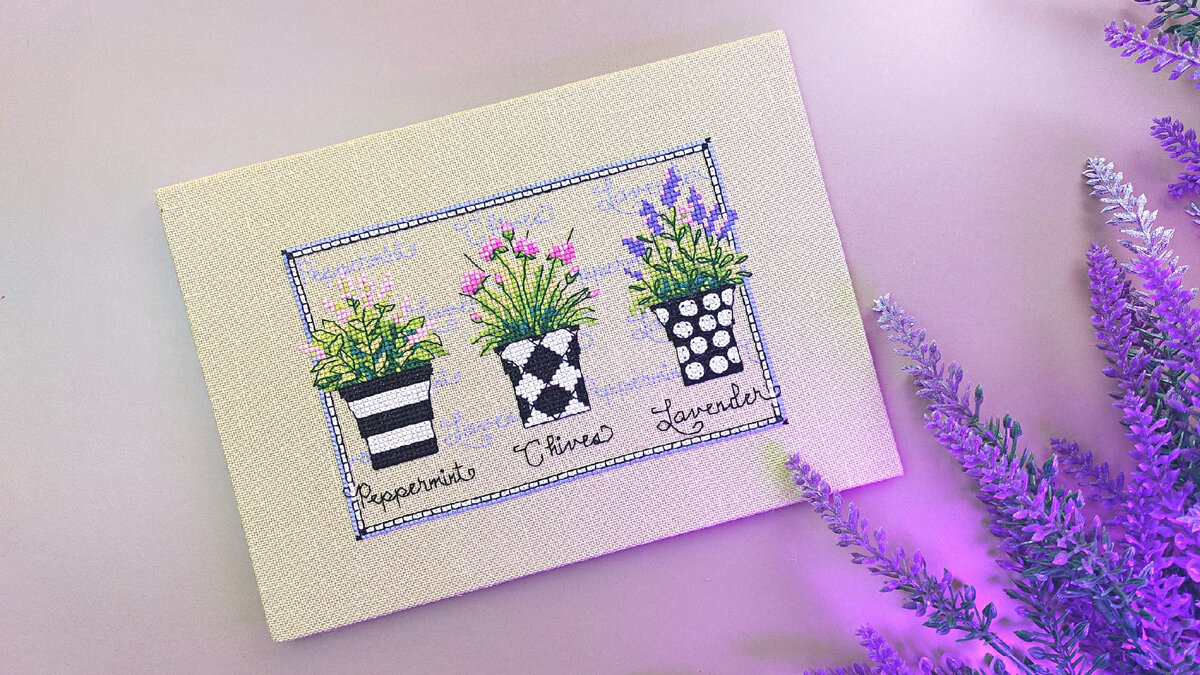 Herb Trio (Dimensions, 65085)