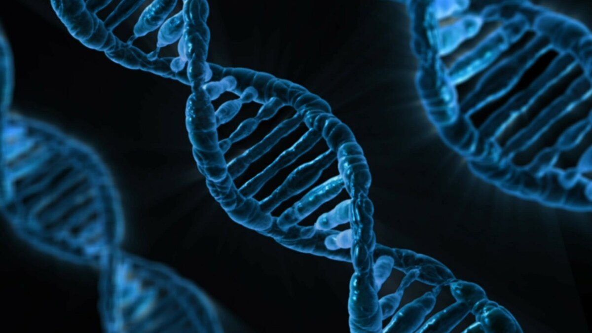 Научная группа Сколтеха iMolecule под руководством старшего преподавателя Петра Попова разработала решение, которое на основании данных о структуре РНК и ДНК предсказывает участки этих молекул,...