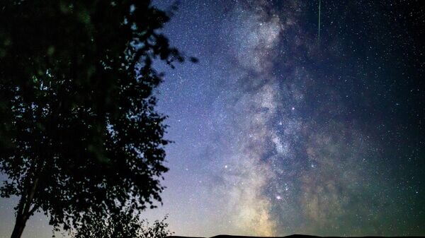   © photo: Sputnik / Vitaly Timkiv