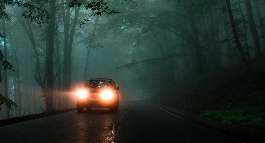 Картинка из интернета