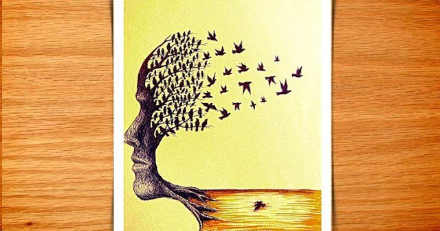 фото из открытых источников