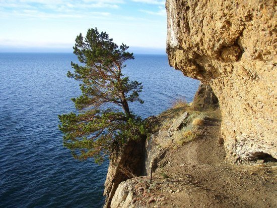     Фото с сайта ФГБУ "Заповедное Прибайкалье".