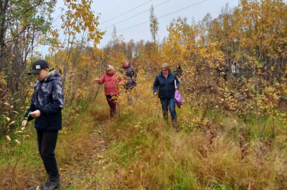    Обратная сторона земли. Семьи не теряют надежды построить дома в Мурманске