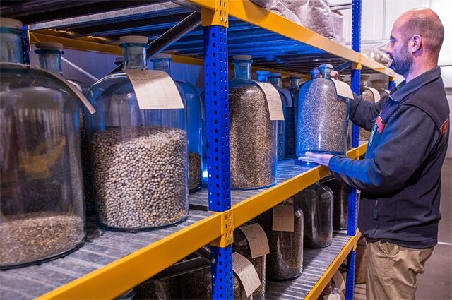    Зачем нам импортные семена?