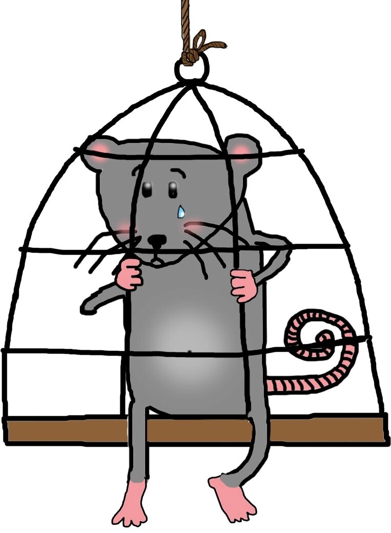 Крыса Лариска долго была нашим любимым персонажем, мы про нее много чего напридумывали.