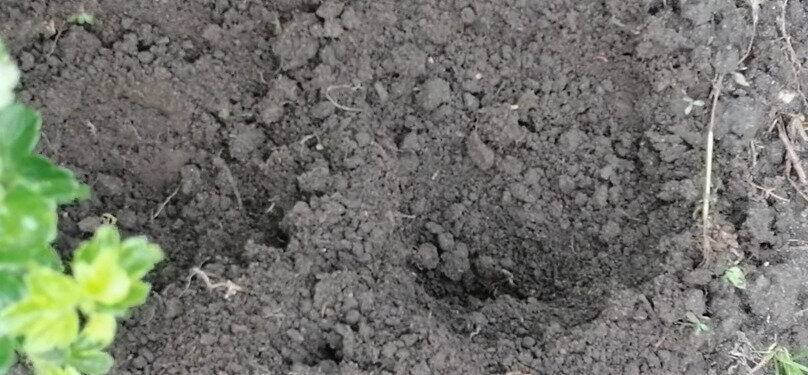 Выбор места для посадки