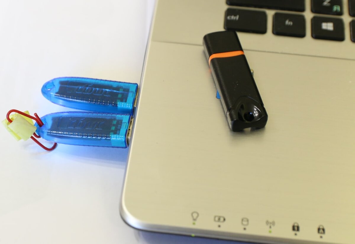 фото авторов