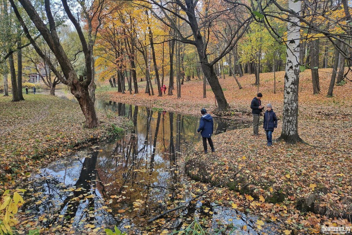   
 Фото: Михаил Огнев / «Фонтанка.ру»