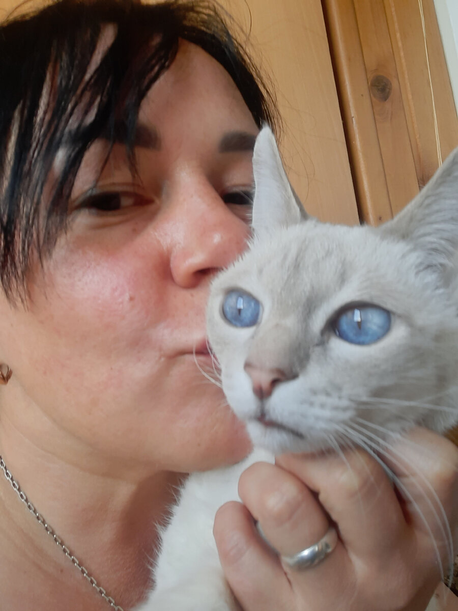 Его нельзя не полюбить)