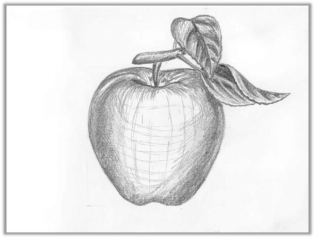 Уроки рисования. Как нарисовать ЯБЛОКО !how to draw an apple — Video | VK