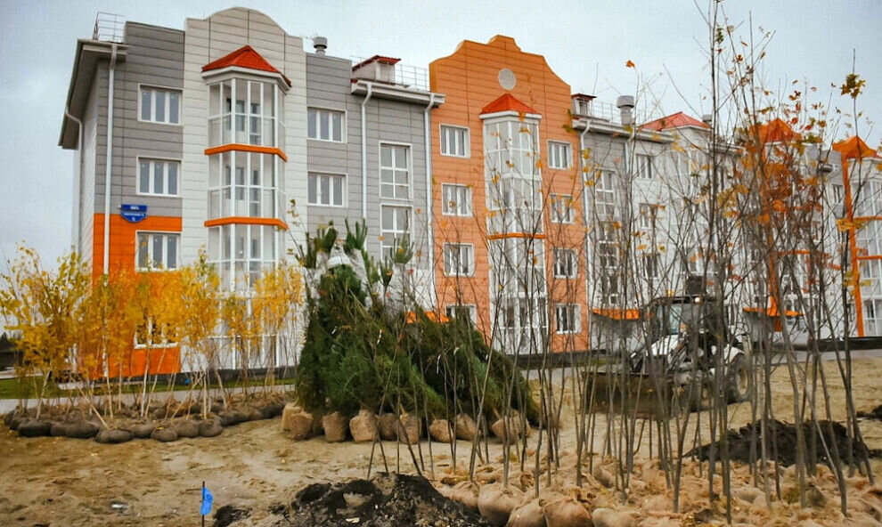    В Губкинском продолжается масштабное озеленение территорий