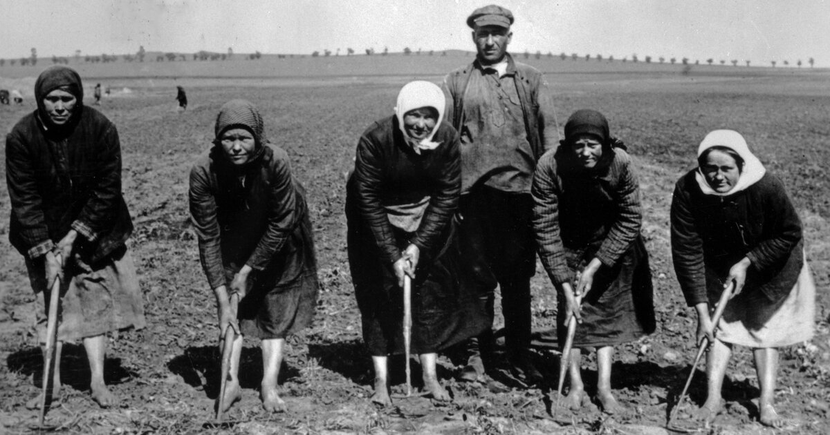 Сельские женщины СССР - История России в фотографиях