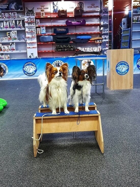     Фото: Карина ИТУНИНА, из архива участников соревнований