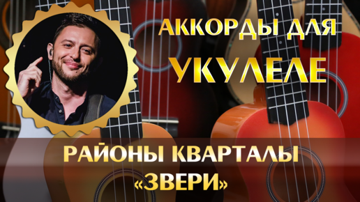 Звери районы кварталы аккорды