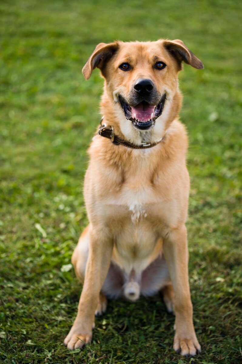 Тогда, конечно, он был другим. Да, улыбался. Но не так