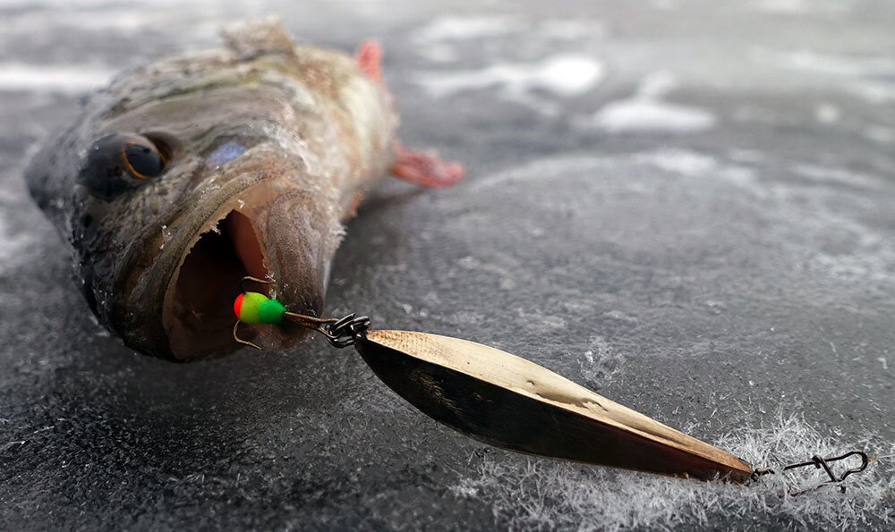 Вот он - первый Маралистик