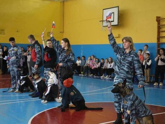     фото из ТГ-канала администрации го. о. Серпухов