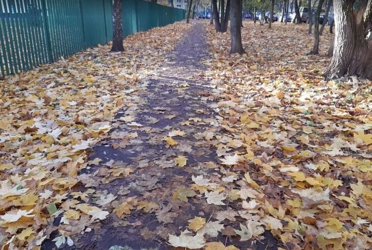    В России мощное арктическое вторжение быстро превратит начало ноября 2022 в зиму