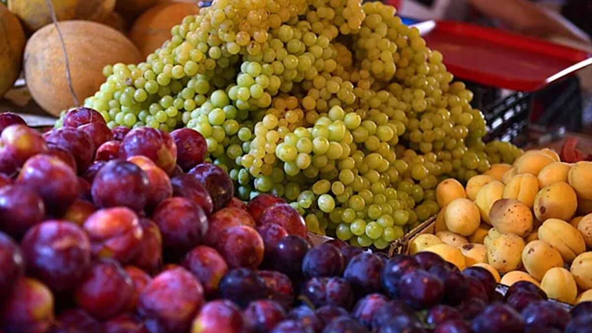     30 октября началось заседание постоянно действующей российско-иранской комиссии по торгово-экономическому сотрудничеству