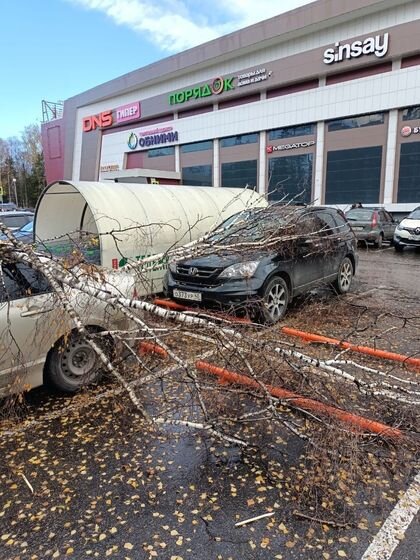    На автостоянке торгового центра от порыва ветра на припаркованные автомобили упало дерево Страница главы администрации Обнинска в социальной сети «ВКонтакте»