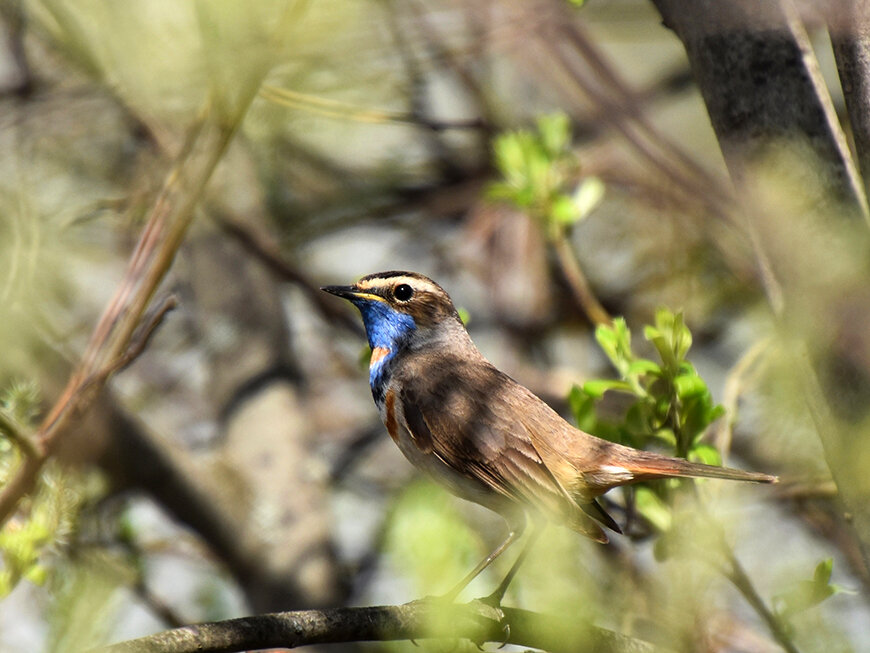 Фото: Город Казань KZN.RU