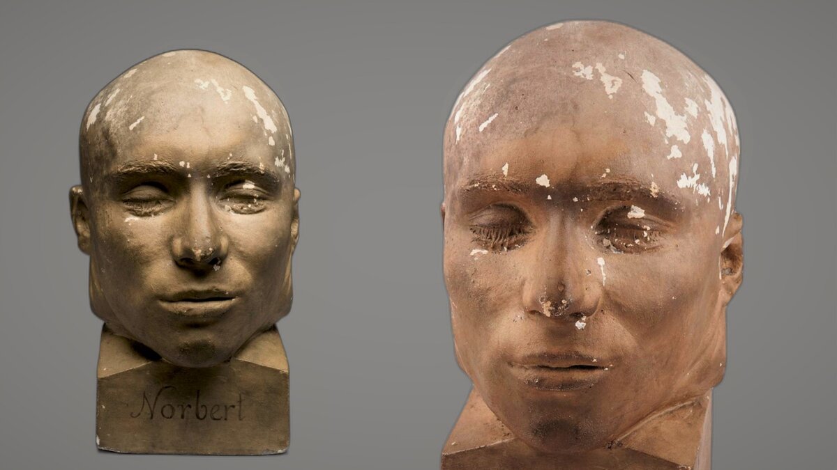 Френологическая голова, некий преступник Норберт, детали его дела не сохранились. Франция, гипс, 1831-1900 гг. © Музей науки, Лондон