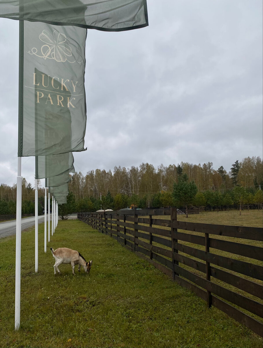 Коттеджный поселок lucky Park