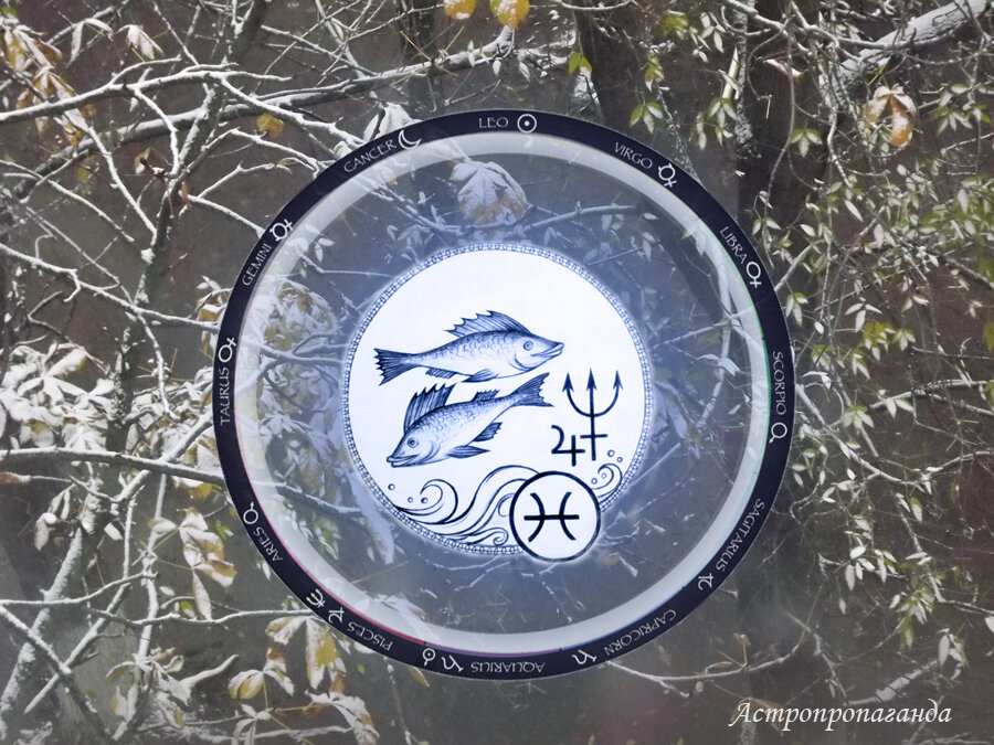 Коллаж Нины Стрелковой. 