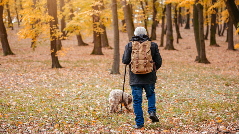   Gettyimages.ru vgajic