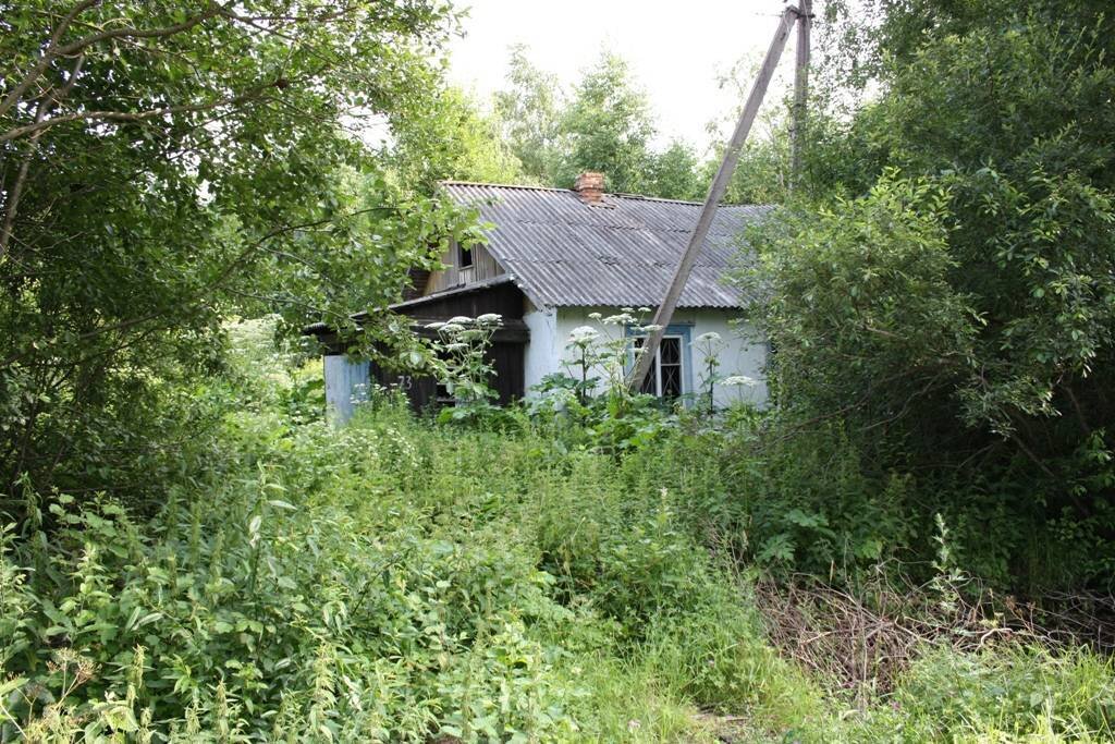 Фото взято из открытого интернет источника.