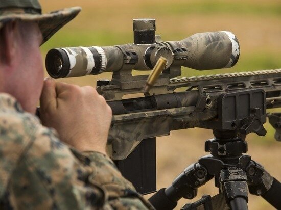     Фото: Pixabay.com.