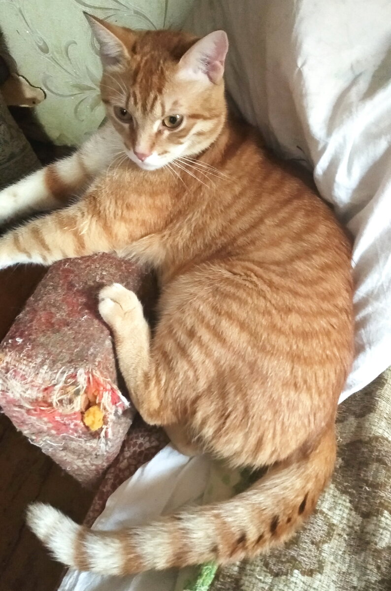 Личное  фото.