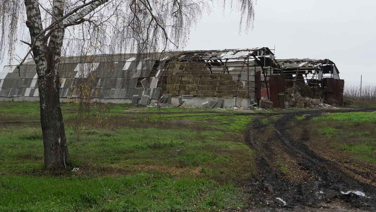 Белгородская область: ситуация в регионе и жизнь людей (ноябрь, 23 честных фото)